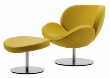 Palm City Chair villa görseli